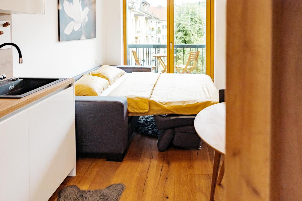 Woody - Comfy Apartment In Siska 卢布尔雅那 外观 照片